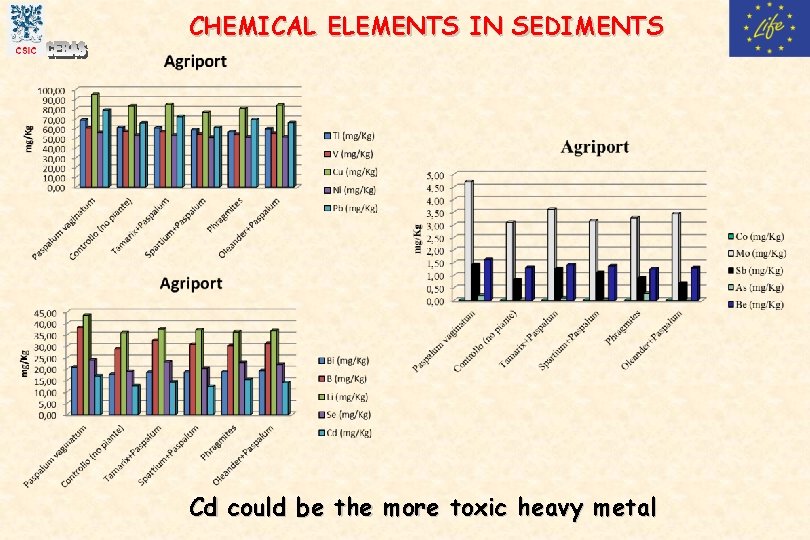 CHEMICAL ELEMENTS IN SEDIMENTS Cd could be the more toxic heavy metal 