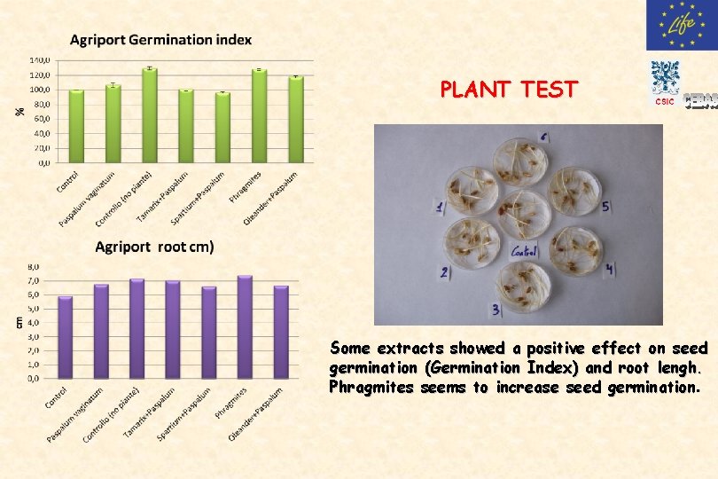 PLANT TEST Some extracts showed a positive effect on seed germination (Germination Index) and