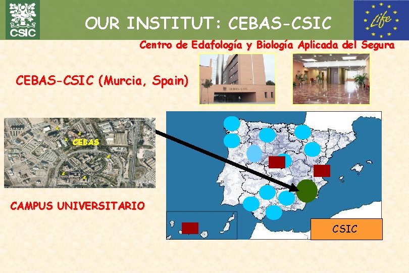 OUR INSTITUT: CEBAS-CSIC Centro de Edafología y Biología Aplicada del Segura CEBAS-CSIC (Murcia, Spain)