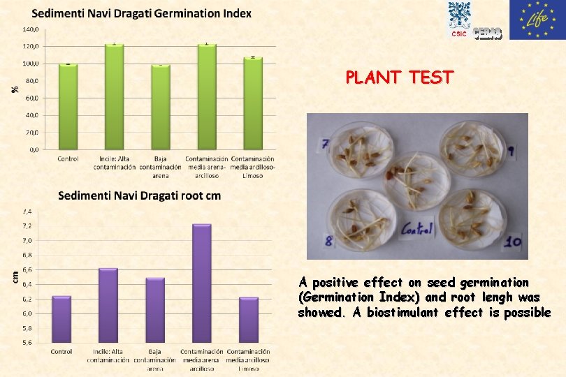 PLANT TEST A positive effect on seed germination (Germination Index) and root lengh was