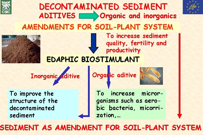 DECONTAMINATED SEDIMENT ADITIVES Organic and inorganics AMENDMENTS FOR SOIL-PLANT SYSTEM To increase sediment quality,