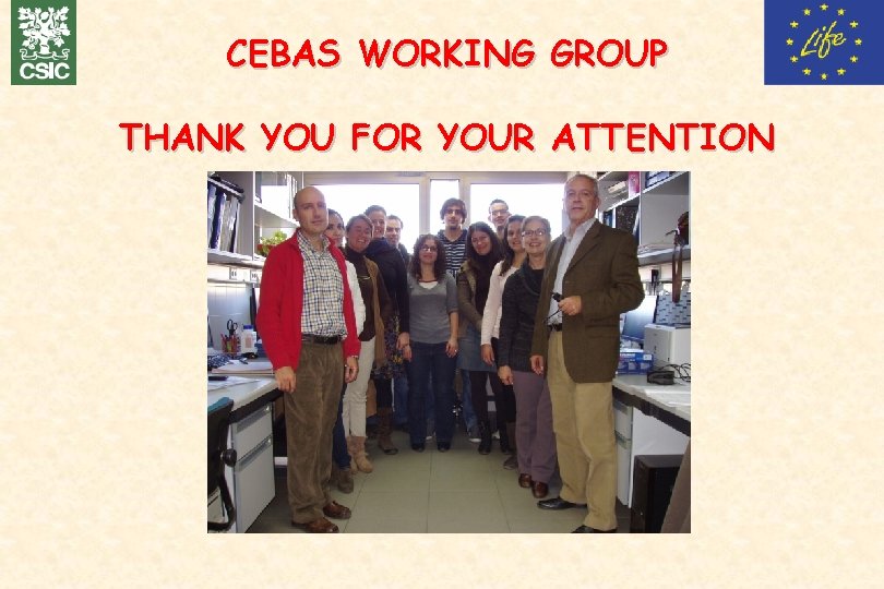 CEBAS WORKING GROUP THANK YOU FOR YOUR ATTENTION 