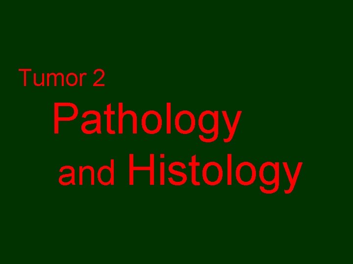 Tumor 2 Pathology and Histology 