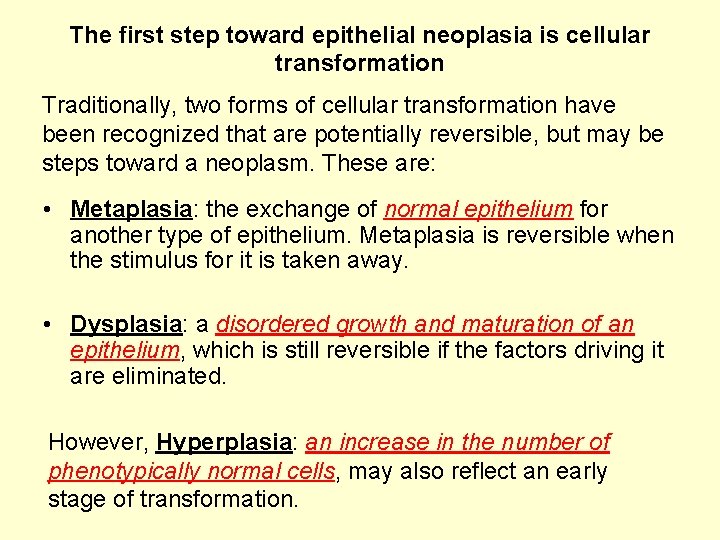 The first step toward epithelial neoplasia is cellular transformation Traditionally, two forms of cellular