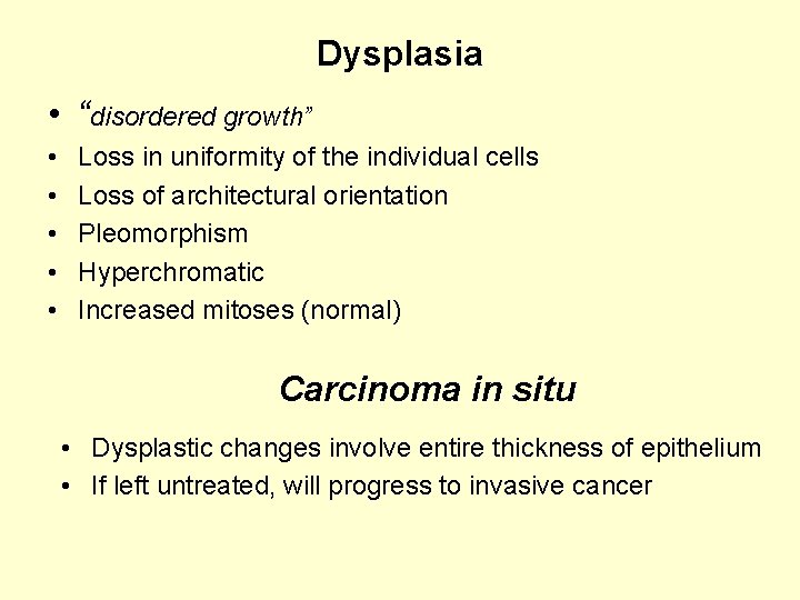 Dysplasia • “disordered growth” • • • Loss in uniformity of the individual cells