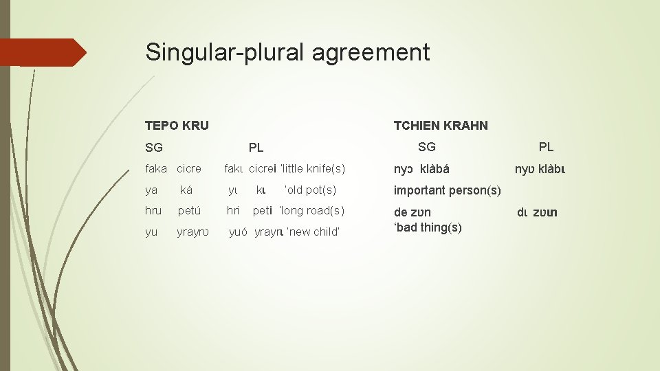Singular-plural agreement TEPO KRU TCHIEN KRAHN SG PL faka cicre fakɩ cicrei ‘little knife(s)
