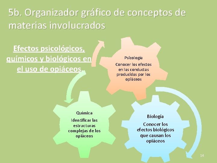 5 b. Organizador gráfico de conceptos de materias involucrados Efectos psicológicos, químicos y biológicos