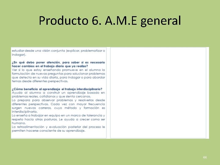 Producto 6. A. M. E general 44 