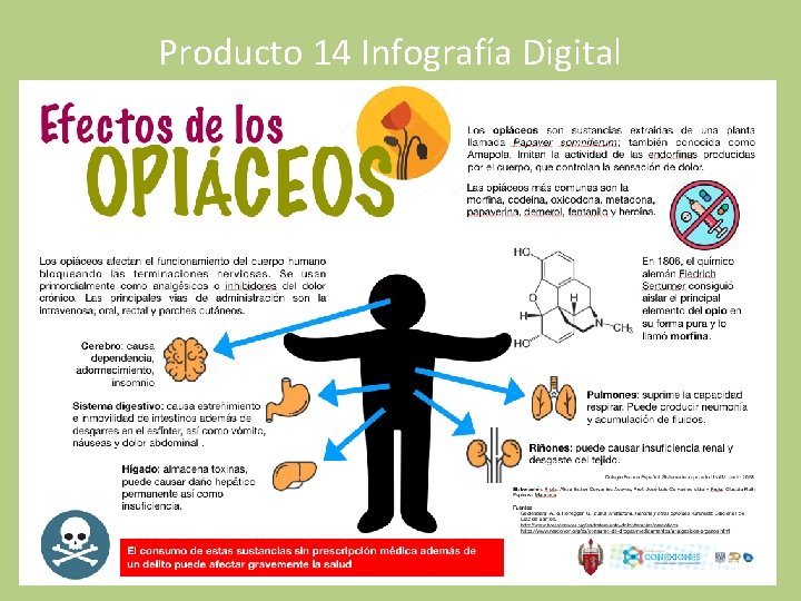 Producto 14 Infografía Digital 74 