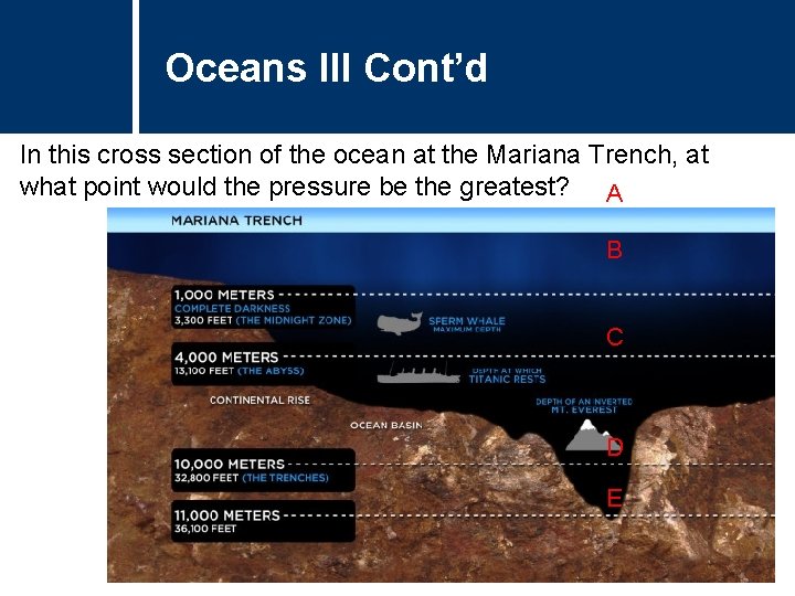Oceans III Cont’d In this cross section of the ocean at the Mariana Trench,