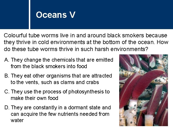 Oceans V Colourful tube worms live in and around black smokers because they thrive