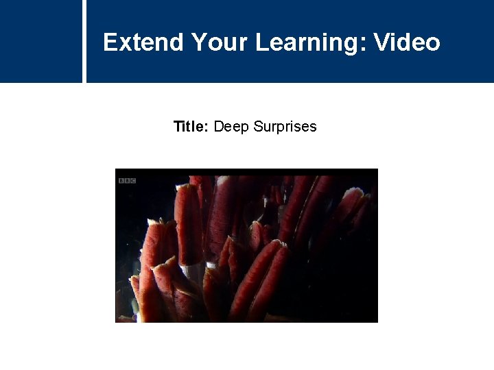 Extend Your Learning: Video Title: Deep Surprises 