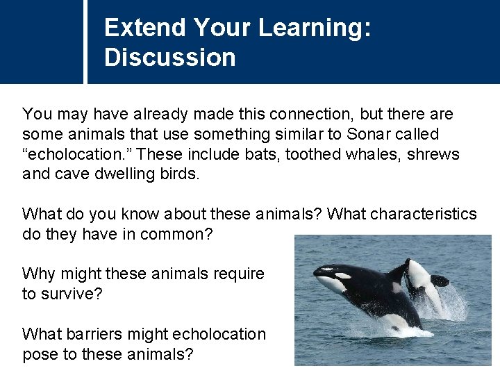 Extend Your Learning: Discussion You may have already made this connection, but there are