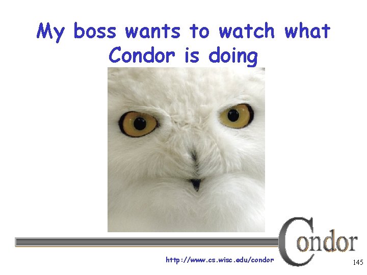 My boss wants to watch what Condor is doing http: //www. cs. wisc. edu/condor