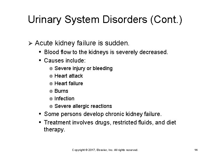 Urinary System Disorders (Cont. ) Ø Acute kidney failure is sudden. • Blood flow