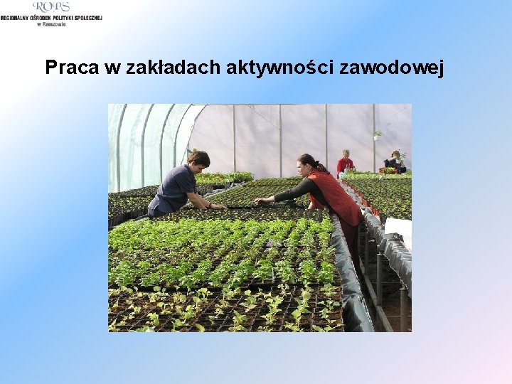 Praca w zakładach aktywności zawodowej 