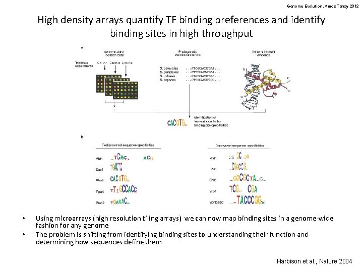 Genome Evolution. Amos Tanay 2012 High density arrays quantify TF binding preferences and identify