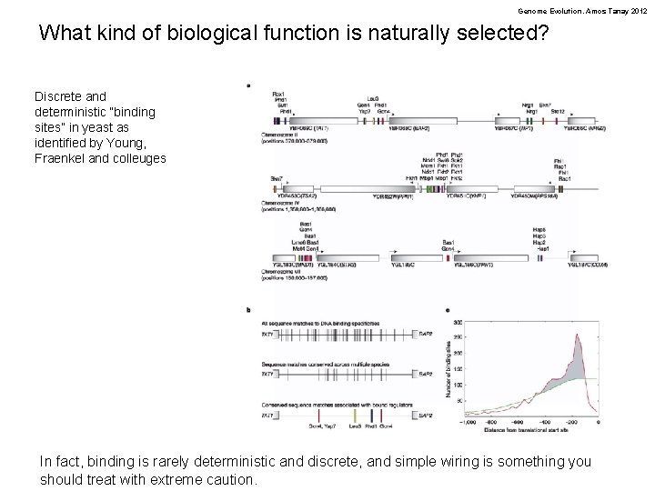 Genome Evolution. Amos Tanay 2012 What kind of biological function is naturally selected? Discrete