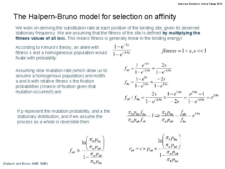 Genome Evolution. Amos Tanay 2012 The Halpern-Bruno model for selection on affinity We work