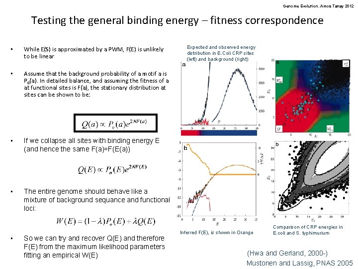 Genome Evolution. Amos Tanay 2012 Testing the general binding energy – fitness correspondence •