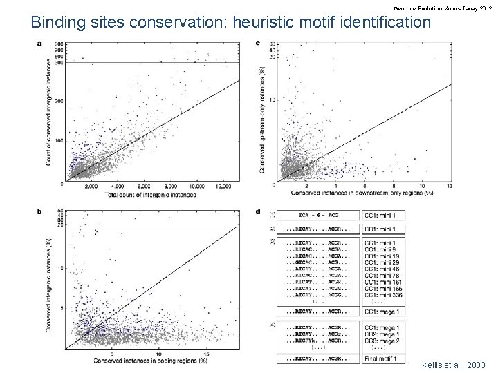 Genome Evolution. Amos Tanay 2012 Binding sites conservation: heuristic motif identification Kellis et al.