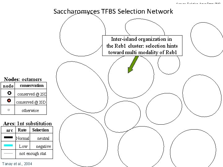 Genome Evolution. Amos Tanay 2012 Saccharomyces TFBS Selection Network Inter-island organization in the Reb