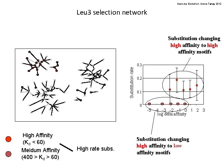 Genome Evolution. Amos Tanay 2012 Leu 3 selection network Substitution rate Substitution changing high