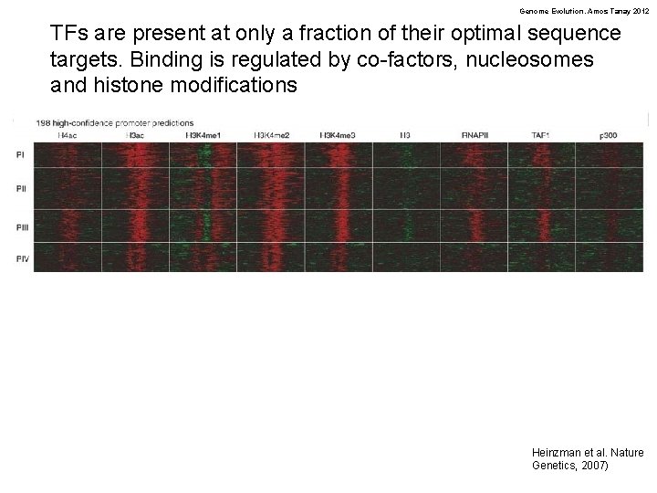 Genome Evolution. Amos Tanay 2012 TFs are present at only a fraction of their