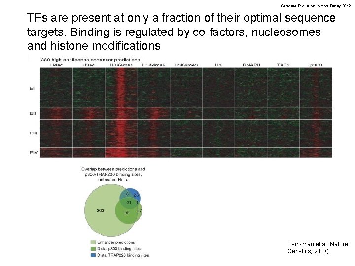 Genome Evolution. Amos Tanay 2012 TFs are present at only a fraction of their