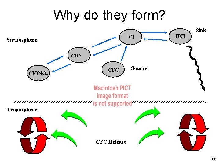 Why do they form? Sink Cl Stratosphere HCl Cl. ONO 2 CFC Source Troposphere