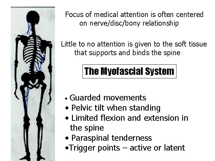 Focus of medical attention is often centered on nerve/disc/bony relationship Little to no attention Focus of medical attention is often centered on nerve/disc/bony relationship Little to no attention