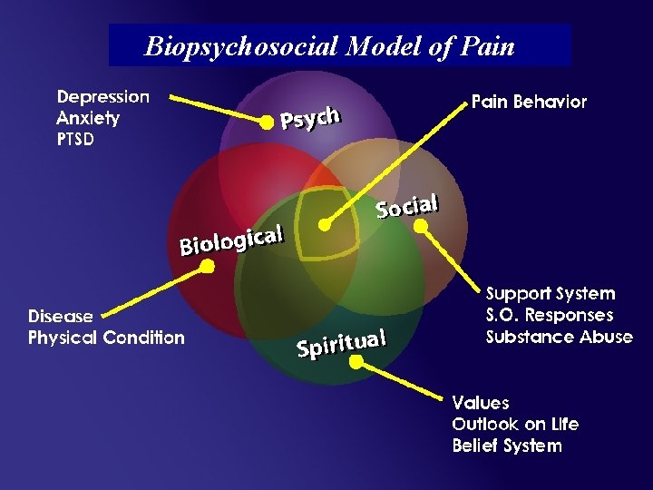 Biopsychosocial Model of Pain Biopsychosocial Model of Pain