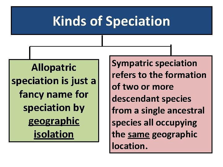 Kinds of Speciation Allopatric speciation is just a fancy name for speciation by geographic