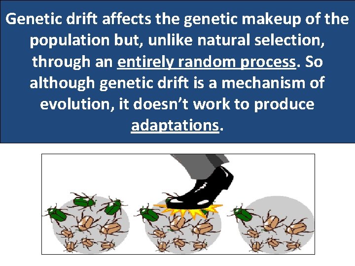 Genetic drift affects the genetic makeup of the population but, unlike natural selection, through