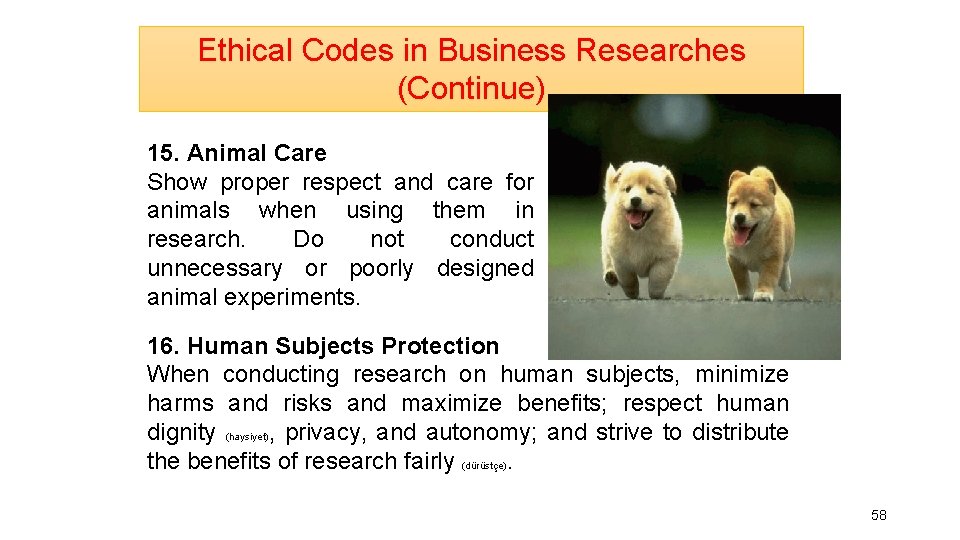 Ethical Codes in Business Researches (Continue) 15. Animal Care Show proper respect and care