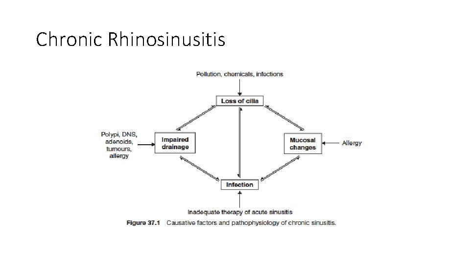 Chronic Rhinosinusitis Chronic Rhinosinusitis
