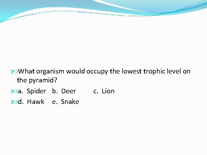 What organism would occupy the lowest trophic level on the pyramid? a. Spider What organism would occupy the lowest trophic level on the pyramid? a. Spider