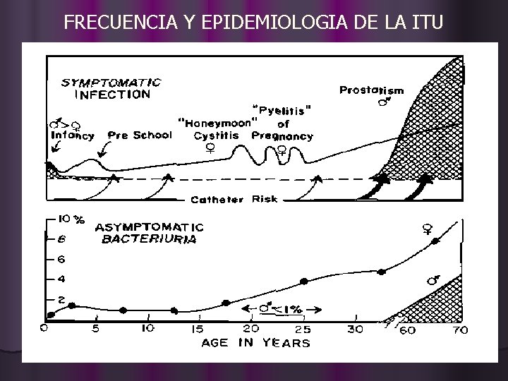 FRECUENCIA Y EPIDEMIOLOGIA DE LA ITU 