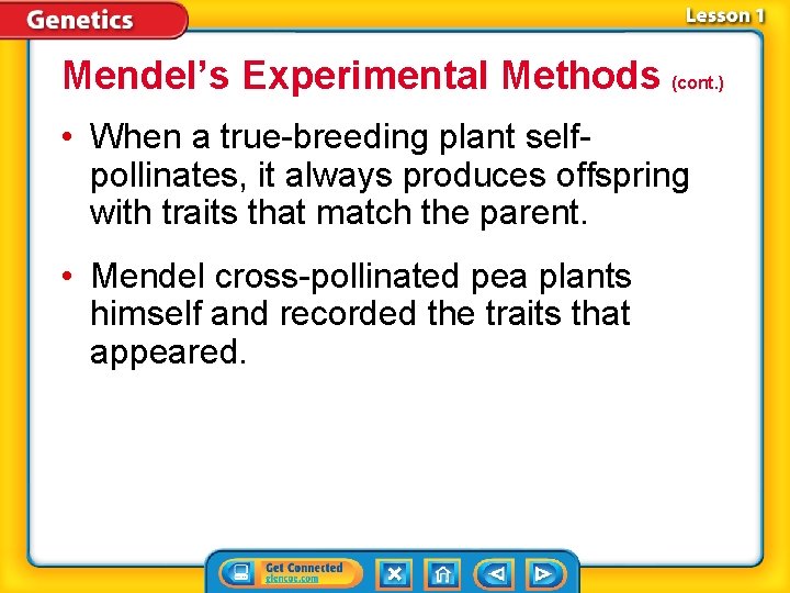 Mendel’s Experimental Methods (cont. ) • When a true-breeding plant selfpollinates, it always produces