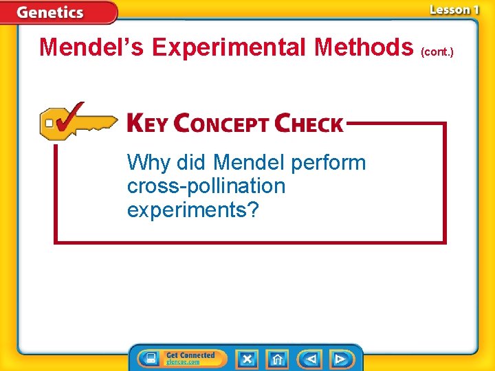 Mendel’s Experimental Methods (cont. ) Why did Mendel perform cross-pollination experiments? 