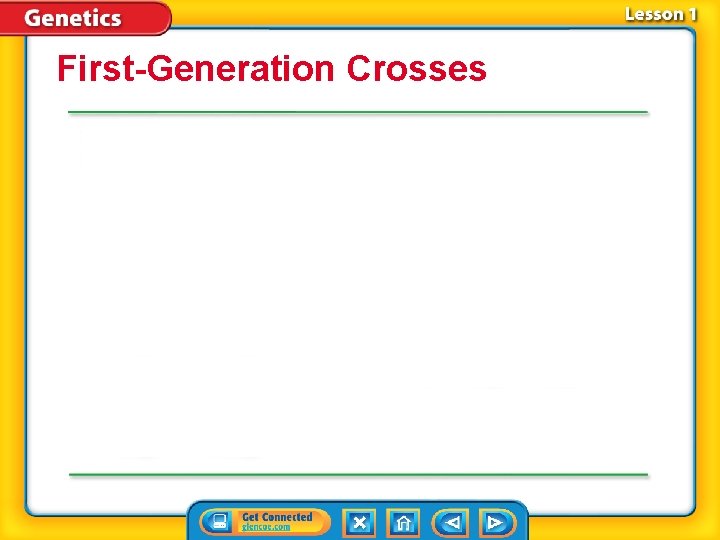 First-Generation Crosses 