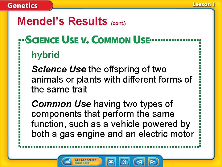 Mendel’s Results (cont. ) hybrid Science Use the offspring of two animals or plants