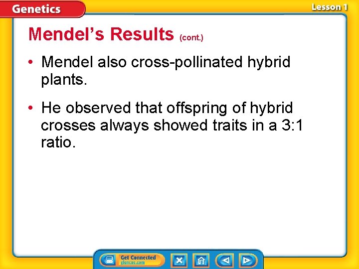 Mendel’s Results (cont. ) • Mendel also cross-pollinated hybrid plants. • He observed that