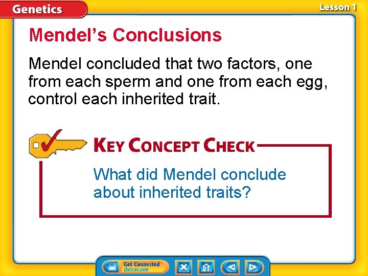 Mendel’s Conclusions Mendel concluded that two factors, one from each sperm and one from