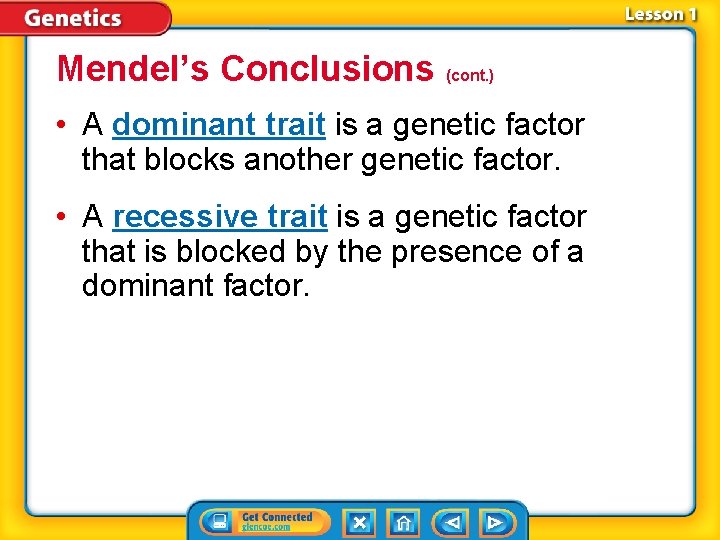 Mendel’s Conclusions (cont. ) • A dominant trait is a genetic factor that blocks