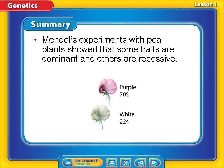  • Mendel’s experiments with pea plants showed that some traits are dominant and