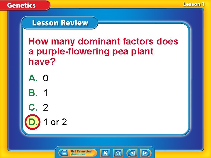 How many dominant factors does a purple-flowering pea plant have? A. 0 B. 1