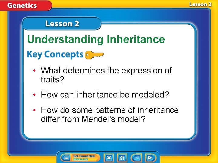 Understanding Inheritance • What determines the expression of traits? • How can inheritance be