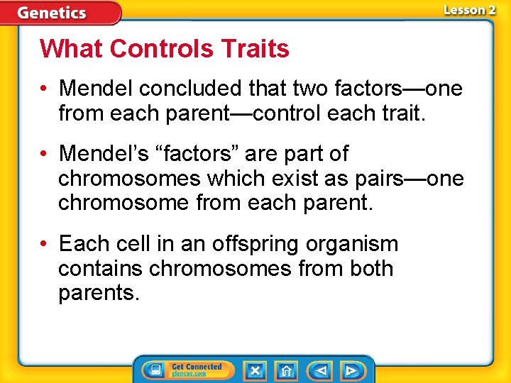 What Controls Traits • Mendel concluded that two factors—one from each parent—control each trait.