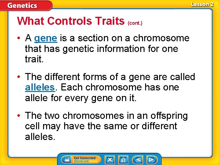 What Controls Traits (cont. ) • A gene is a section on a chromosome